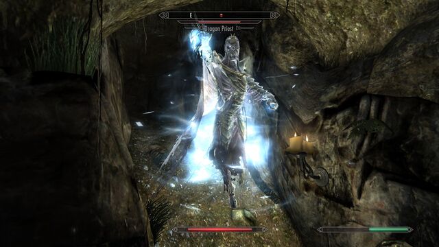 File:Dragon Priest.jpg