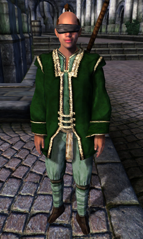 File:TESIV Character Test Imperial.png