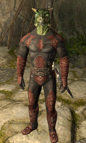 File:TESV Veezara.png