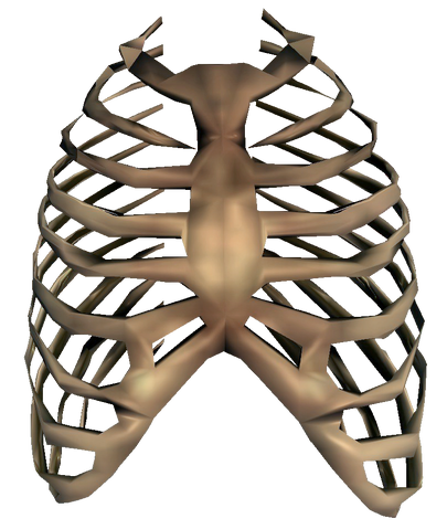 File:Bones Ribcage.png
