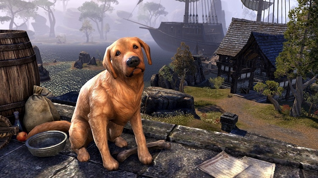 File:Bravil Retriever.png