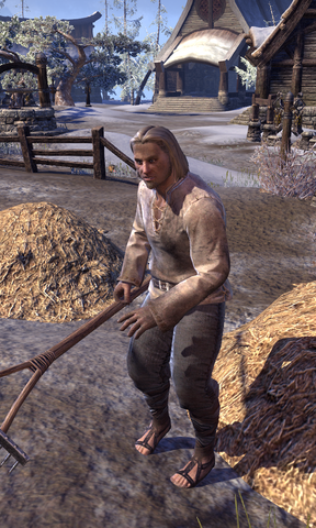 File:Denskar Earth-Turner.png