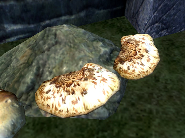 File:Dryad's Saddle Polypore.png