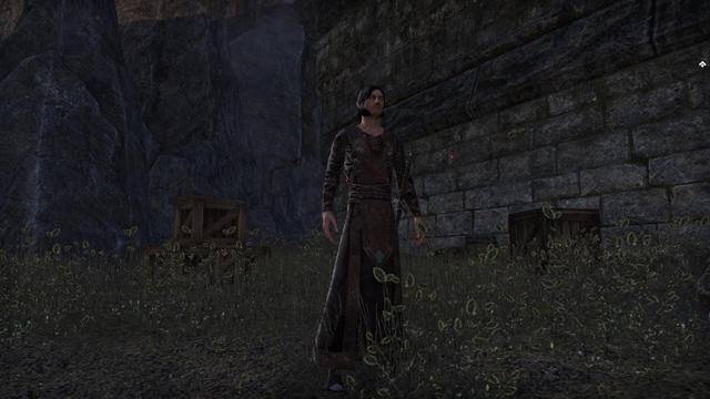 File:Alinon in Orsinium.png