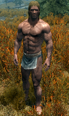 File:Reves.png