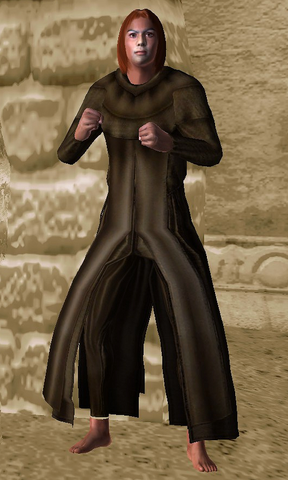 File:Chameleon Robe.png