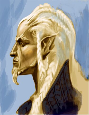 File:High Elf Face.jpg