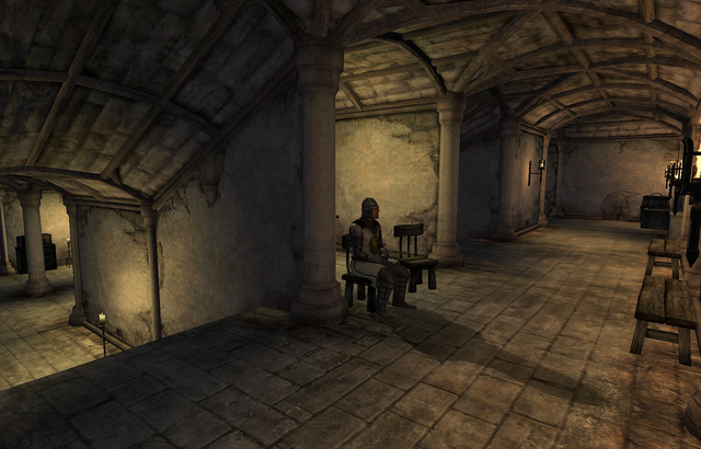 File:Castle LeyawiinPrisonDungeon01.png