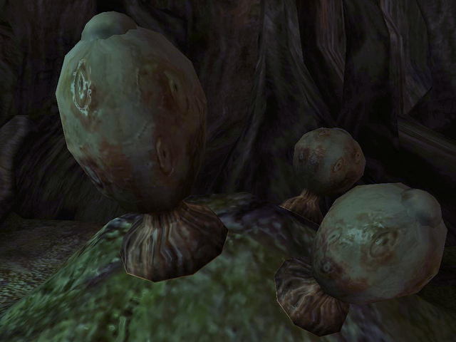 File:Blind Watcher's Eye.png