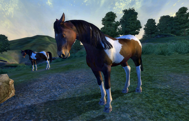 File:Wild Paint Horse.png