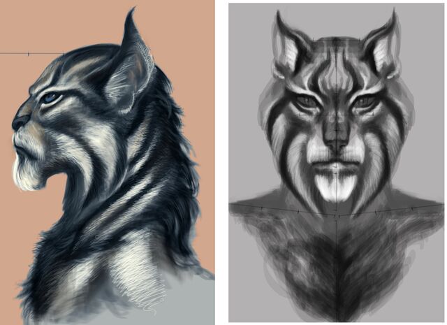 File:Khajiit Face.jpg