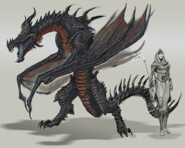 File:TESV Concept Dragon 3.jpg