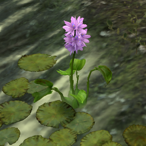 File:Waterhyacinth.png