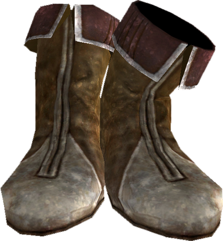 File:ClothesPsiijicBoots.png