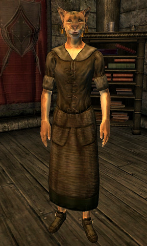 File:Nahsi.png