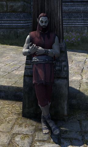 File:Bilos Elarven.png