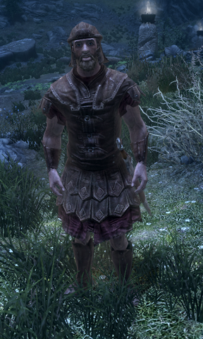 File:Nordsoldiersovngarde.png