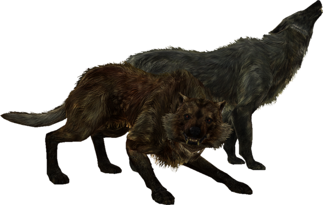 File:TESV Wolves.png