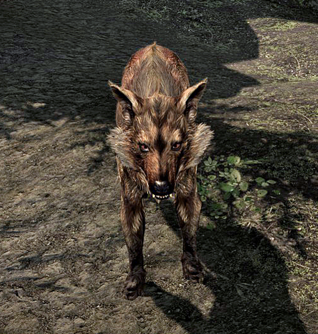 File:Alpha Wolf Skyrim.png