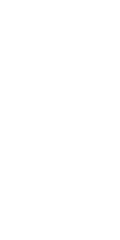 File:Dwemeris Q.png