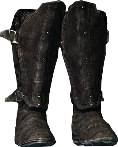 File:Oculatus boots.png