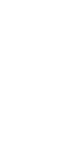 File:Dwemeris O.png