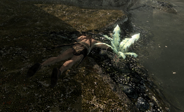 File:FetidPondDeadBandit.png