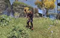 Mastering the TalismanKynreeve Erunas