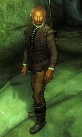 File:Cingaer2.png