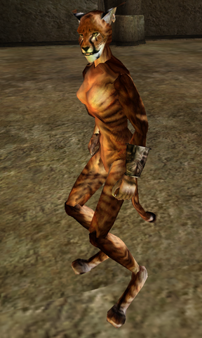 File:Pretty Kitty 2.png
