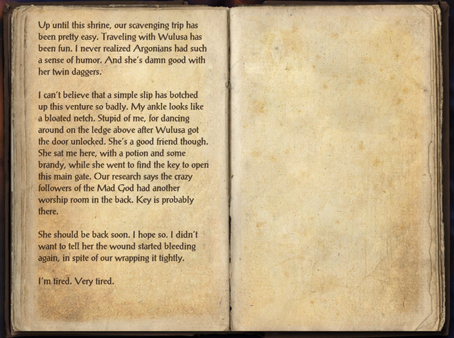 File:Shrine Scavenging Journal.png