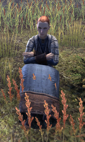 File:Leifunda.png