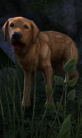 File:ESO Eat Eat.png
