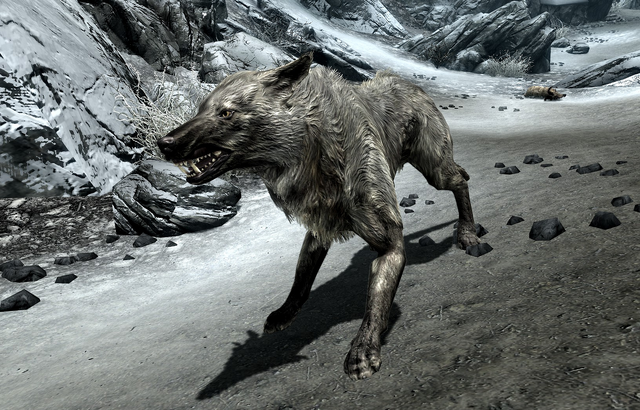 File:Ice Wolf (Skyrim).png