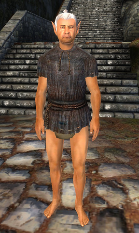 File:Fimmion.png