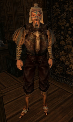 File:Hodlismod.png