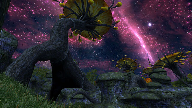 File:Mania Night.jpg