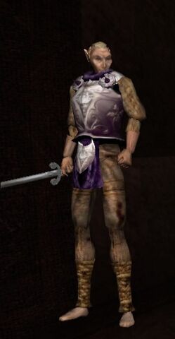 File:Duke's Guard Silver Cuirass.jpeg
