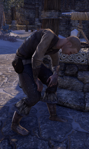 File:Irth Mist-Born.png