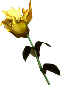 Yellow mountain flower