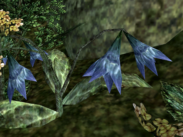 File:Stoneflower.png