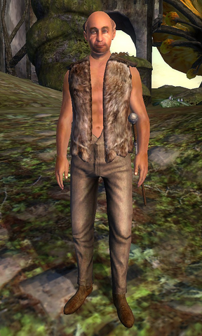 File:Bruscus Dannus (Shivering Isles).png