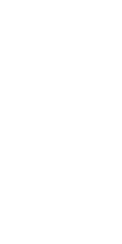File:Dwemeris M.png