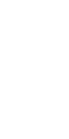 File:Dwemeris V.png