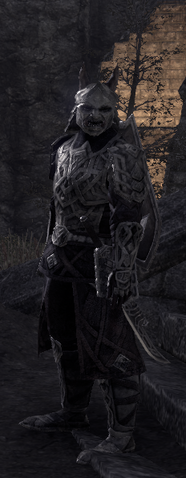 File:Orsinium New Armor Set.png