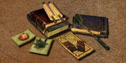 Klasa Uzdrowiciel (Morrowind).jpg