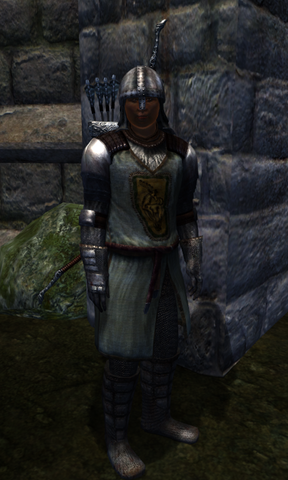 File:TESIV Guard Bravil 1.png