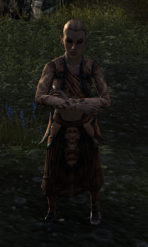 File:Gerwen.png