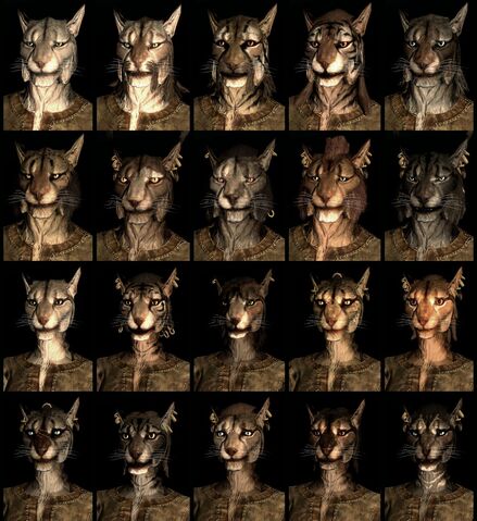 File:KhajiitCompilation-938x1024.jpg