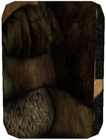 File:HairshirtMorrowind.png
